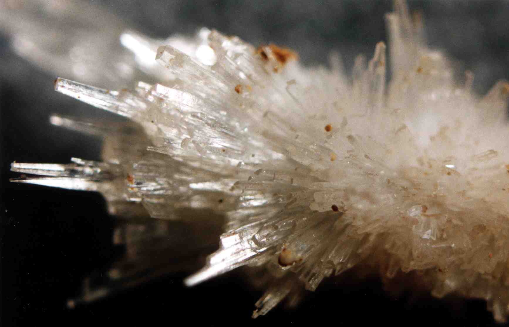 (Aragonite crystals under the optical microscope)